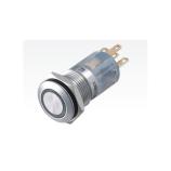 HBS1-AGQ16F-11EZ/R/12V/S antivandal spínač