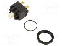 Switch  vandal resistant  Pos  2  DPST-NO  16A/250VAC  OFF-ON
