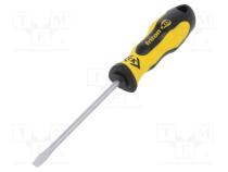 Screwdriver  slot  SL 5,5  Triton XLS  Blade length  100mm