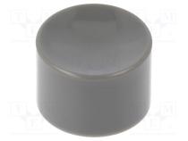 Button  Illumin  none  Body  grey  MPA