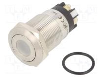 Переключатель  антивандальный  Пол  2  SPDT  3A/220ВAC  5A/24ВDC