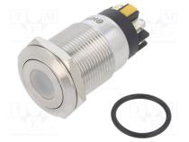 Переключатель  антивандальный  Пол  2  SPDT  3A/220ВAC  5A/24ВDC