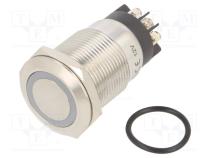 Переключатель  антивандальный  Пол  2  SPDT  3A/220ВAC  5A/24ВDC