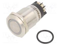 Переключатель  антивандальный  Пол  2  SPDT  3A/220ВAC  5A/24ВDC