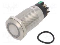 Переключатель  антивандальный  Пол  2  SPDT  3A/220ВAC  5A/24ВDC