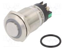 Переключатель  антивандальный  Пол  2  SPDT  3A/220ВAC  5A/24ВDC