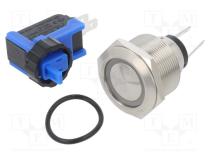 Switch  vandal resistant  Pos  2  SPST NC + NO  300mA/250VDC  IP65