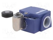 Limit switch  lever R 33mm, plastic roller Ø19mm  NO + NC  10A