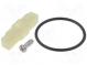 Gasket  1241.1100,1241.1104,1241.1113