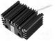 Polovodičové topné těleso  25W  IP20  DIN EN50022 35mm  110÷250V