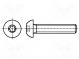 Винт  M6x14  Головка  сферическая  Torx®  сталь  цинк  TX30