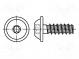 Vrut  pro plasty  6x25  Hlava  kulatá  Torx® PLUS  30IP  ocel  zinek
