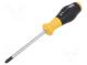 Screwdriver  Phillips  PH2