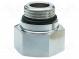 Plug with connection  Ext.thread  G 3/4